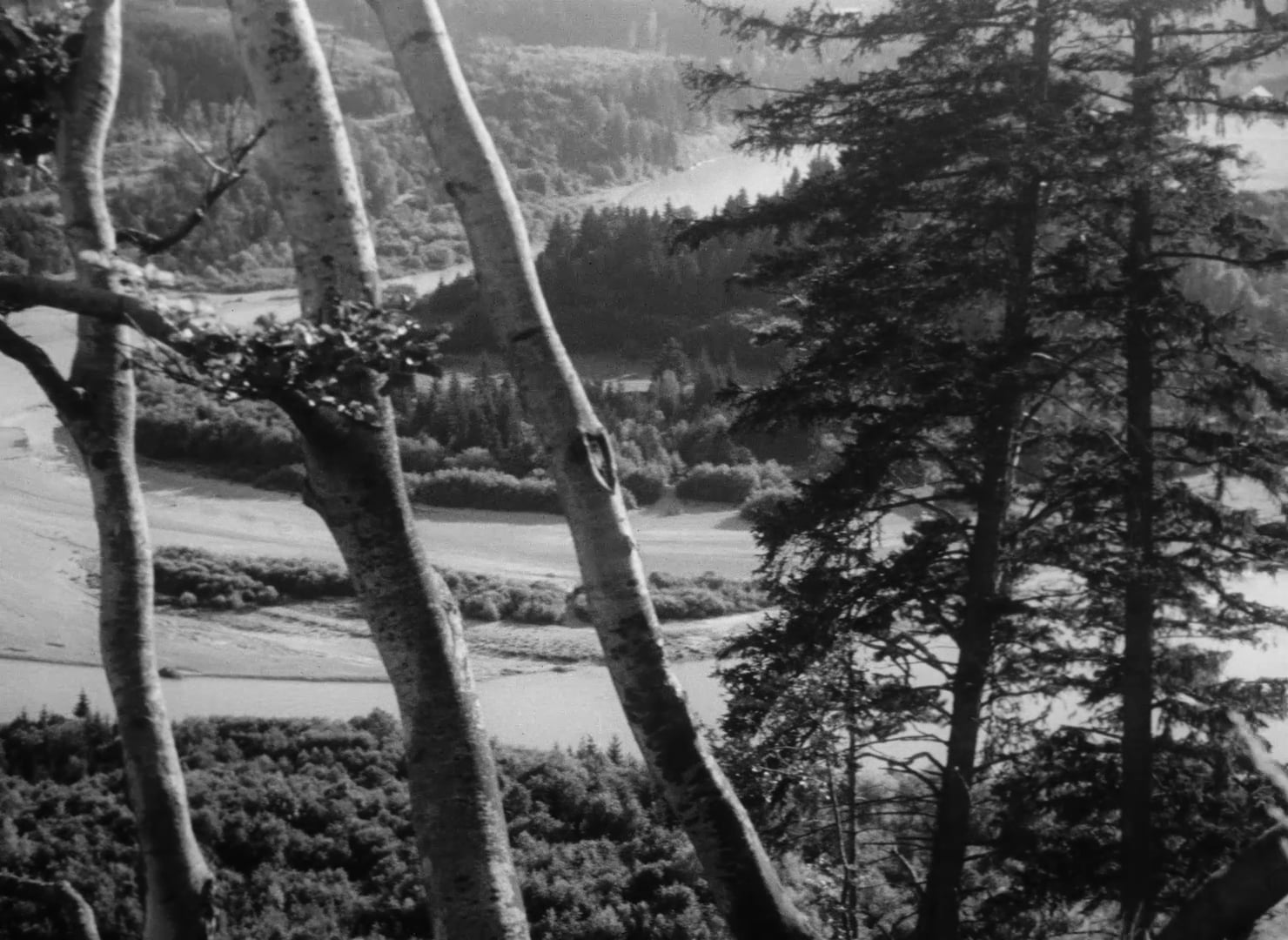 NATUR IN GEFAHR! EIN MAHNRUF ZUR ERHALTUNG DER LANDSCHAFT, ZUM SCHUTZ VON TIER UND PFLANZE